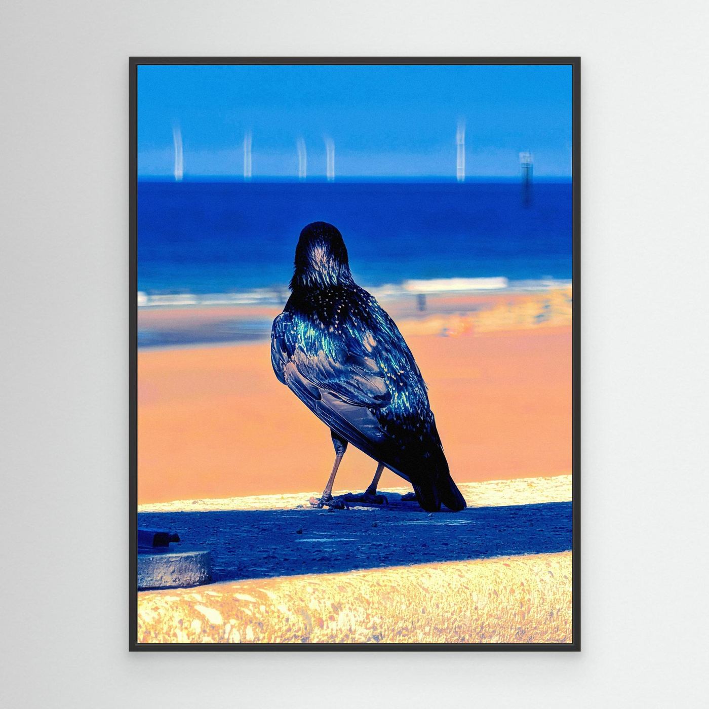 A Bird Admiring The View By Srgstudio
