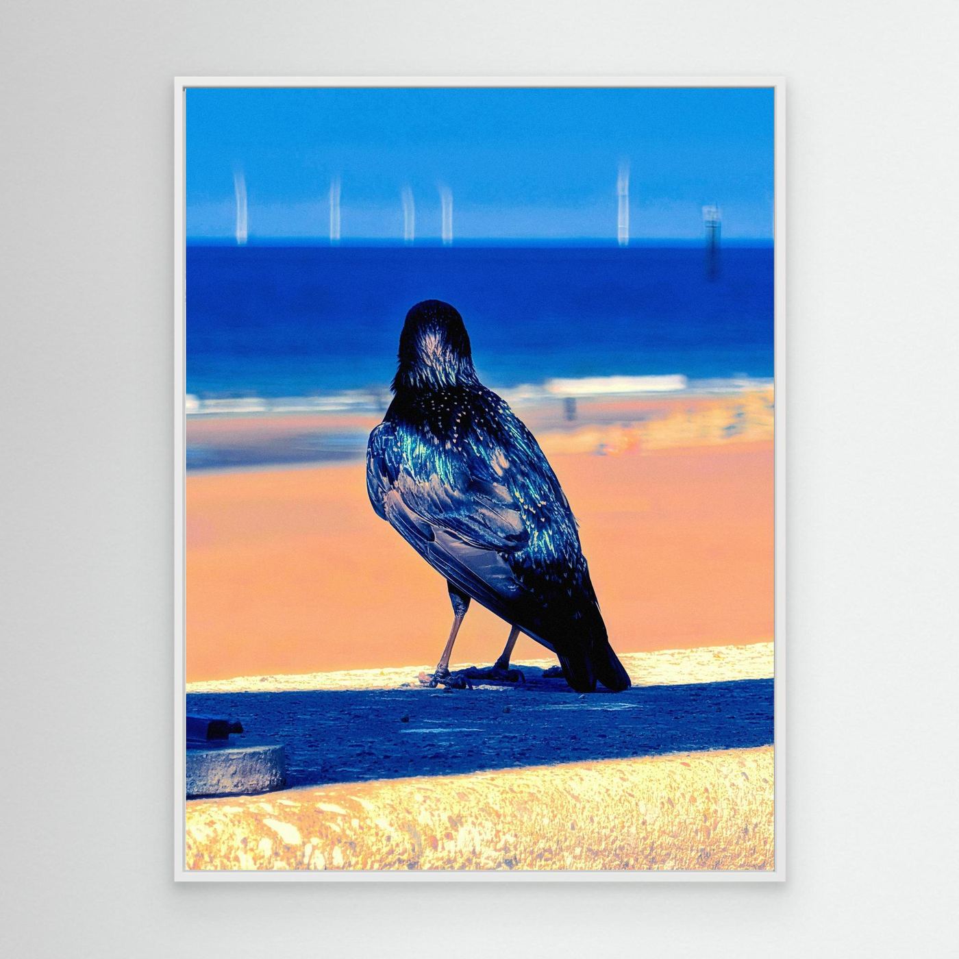 A Bird Admiring The View By Srgstudio