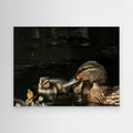 Mother And Ducklings By Srgstudio