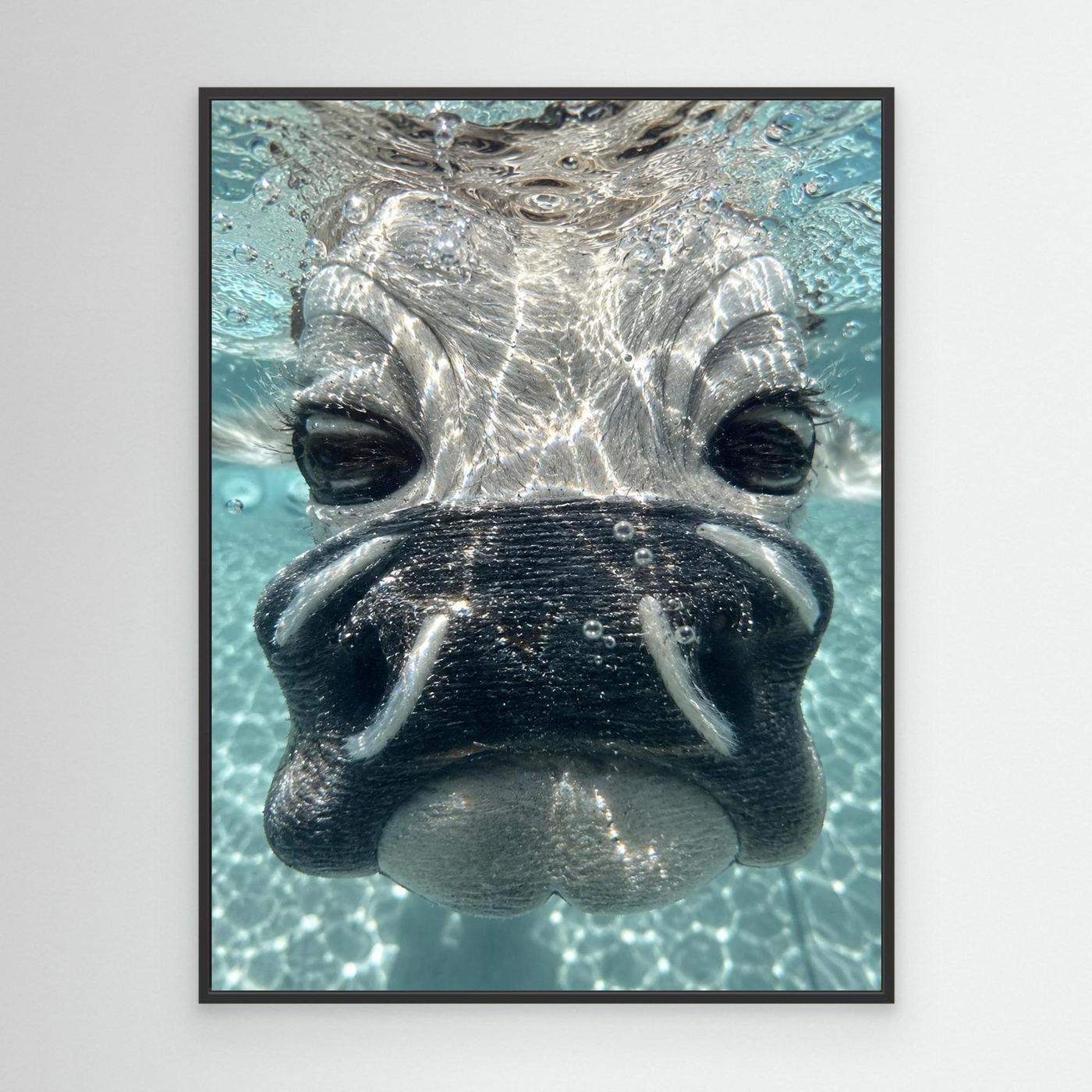 Daisy Underwater Canvas By Srgstudio