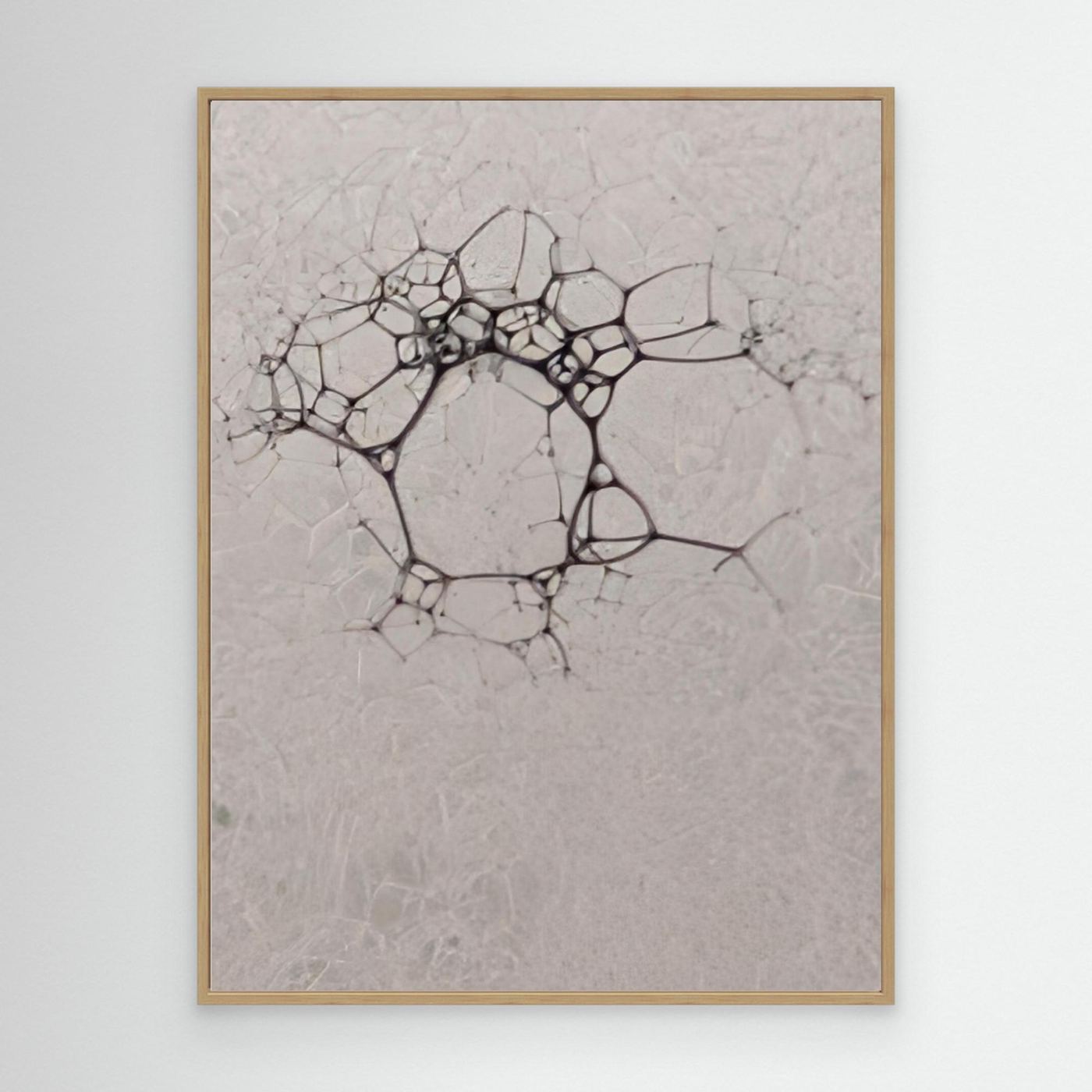 Bubbles by Srgstudio