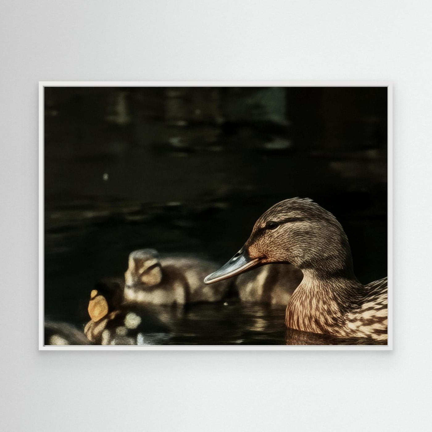 Mother And Ducklings By Srgstudio