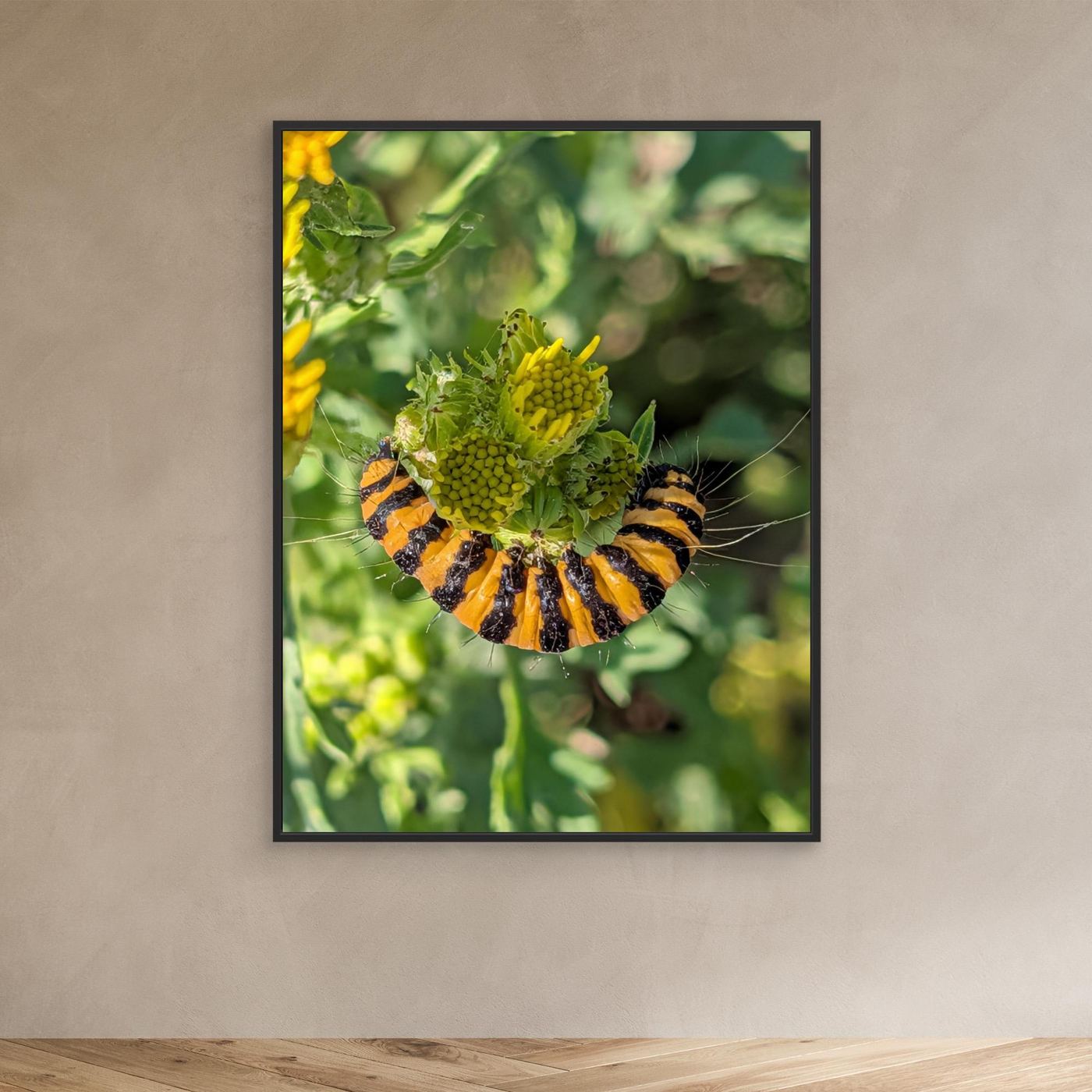 A Caterpillar's Vibrance by Srgstudio 
