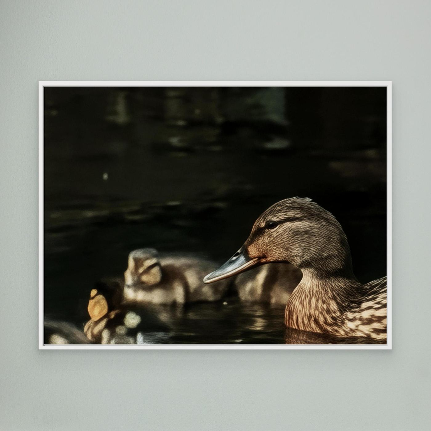 Mother And Ducklings By Srgstudio