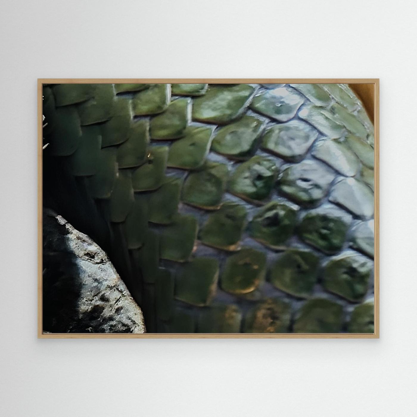 Scales By Srgstudio