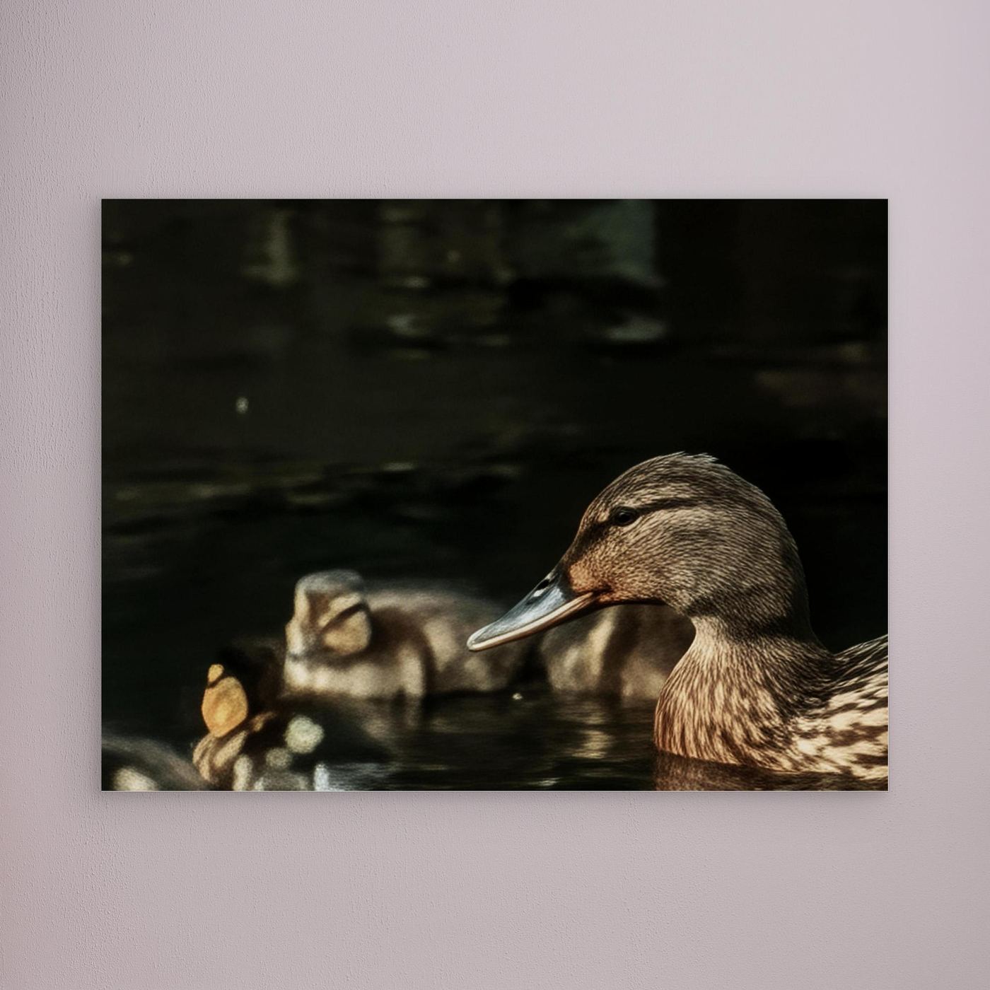 Mother And Ducklings By Srgstudio