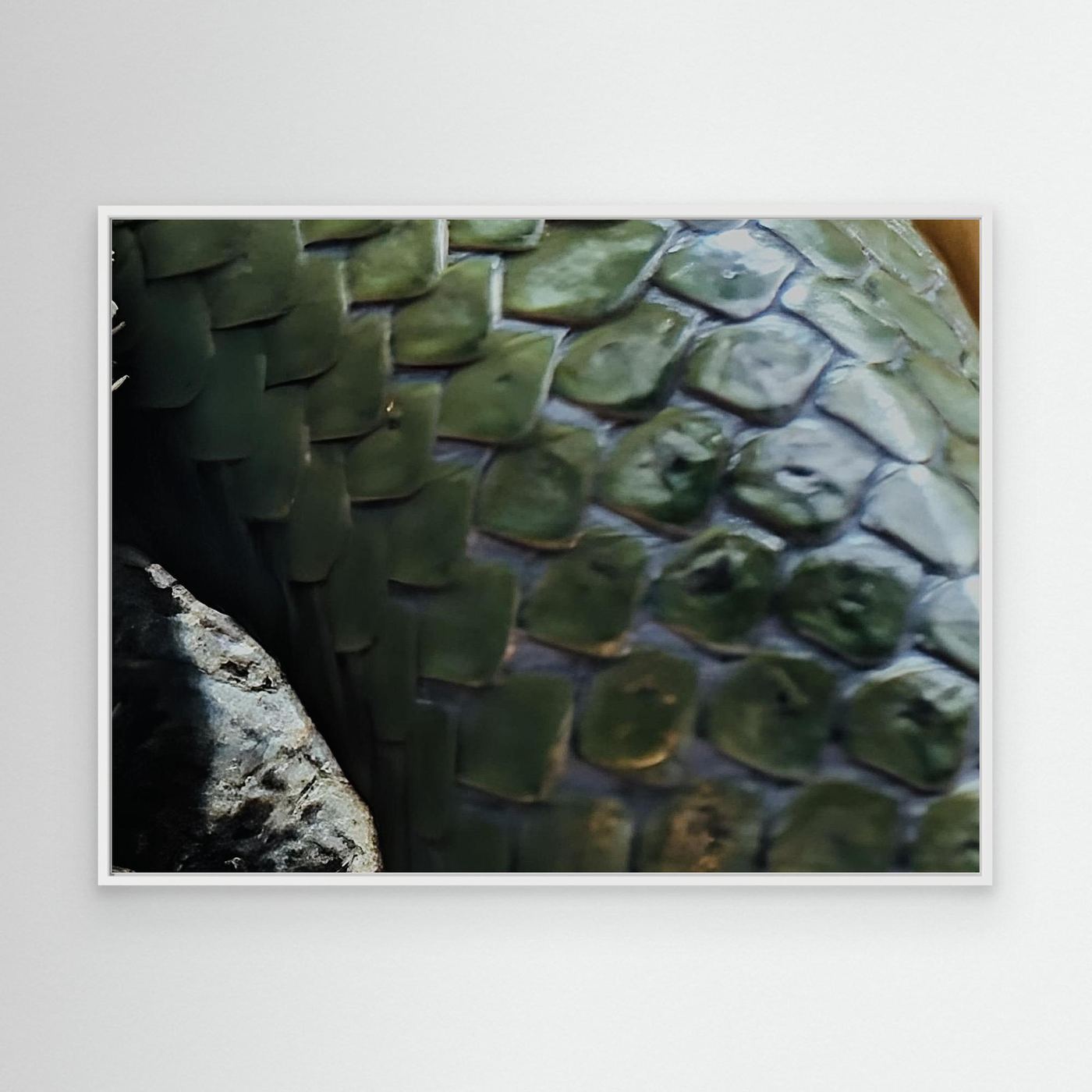 Scales By Srgstudio