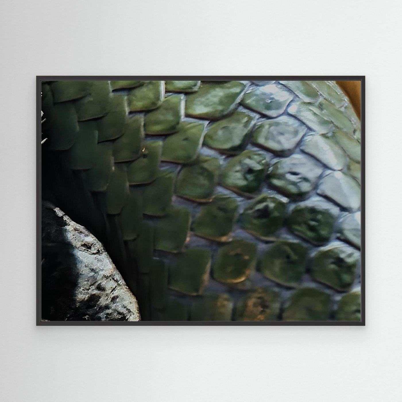 Scales By Srgstudio