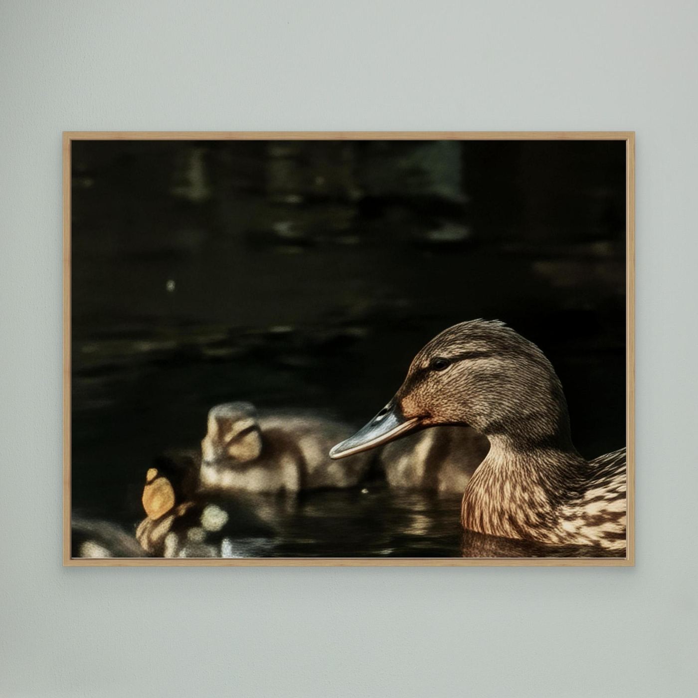 Mother And Ducklings By Srgstudio