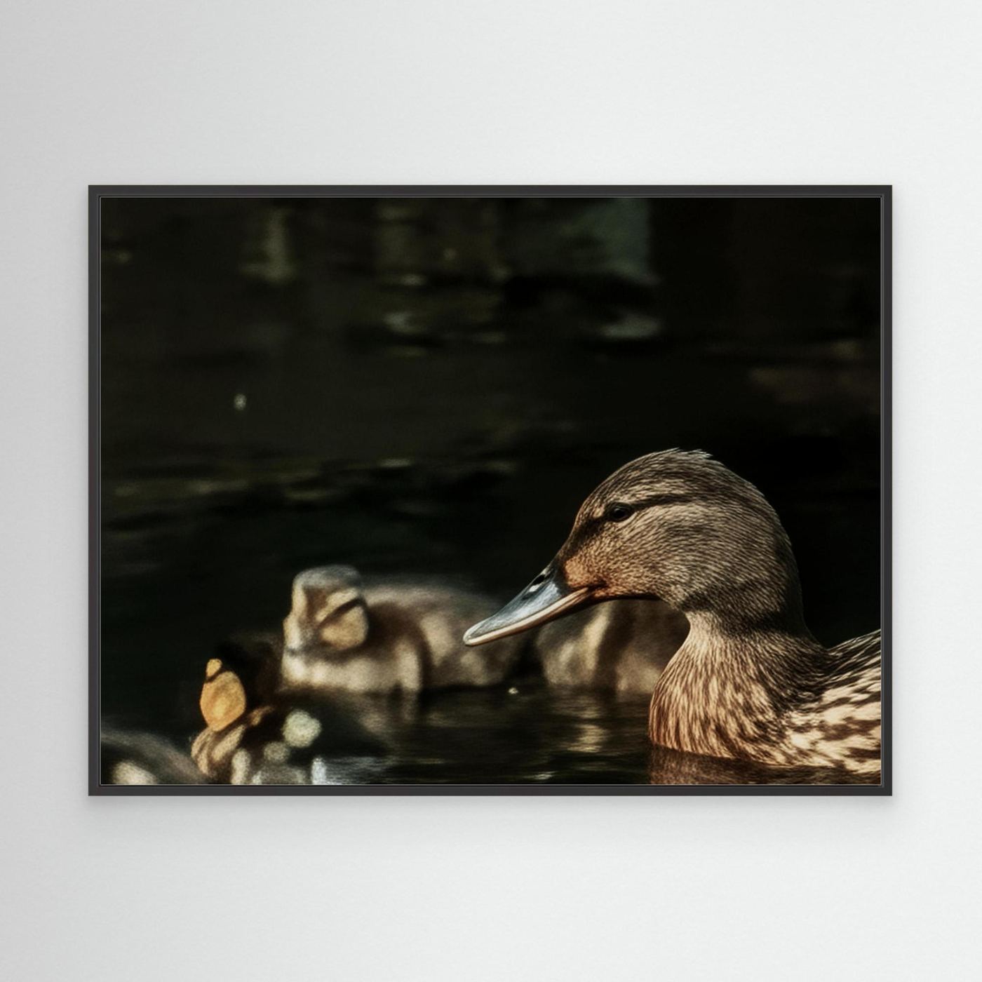 Mother And Ducklings By Srgstudio