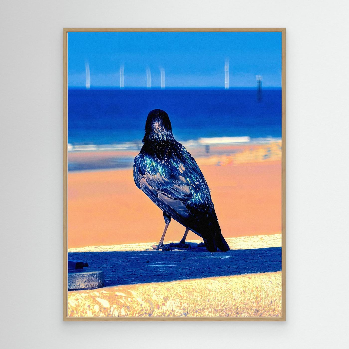 A Bird Admiring The View By Srgstudio