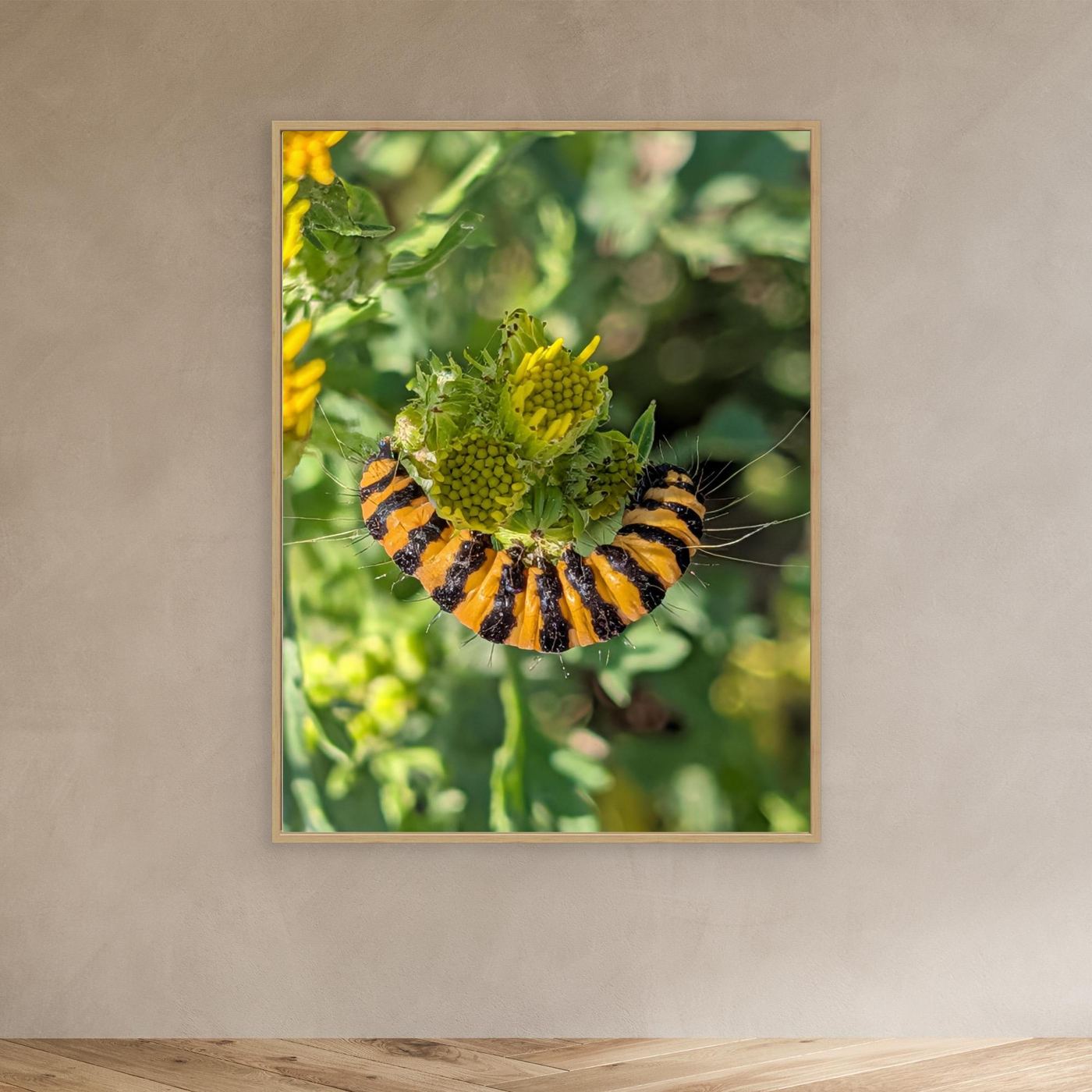 A Caterpillar's Vibrance by Srgstudio 
